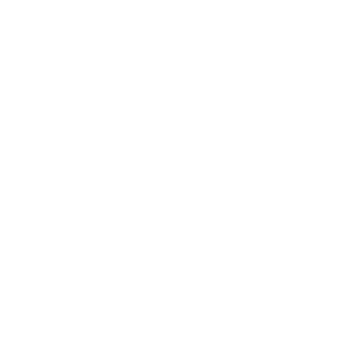 Back button icon